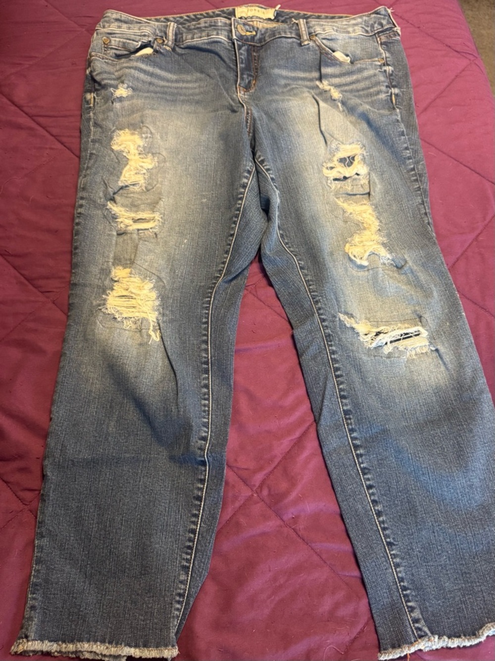 Torrid Distressed Boyfriend Jeans with Frayed Hem